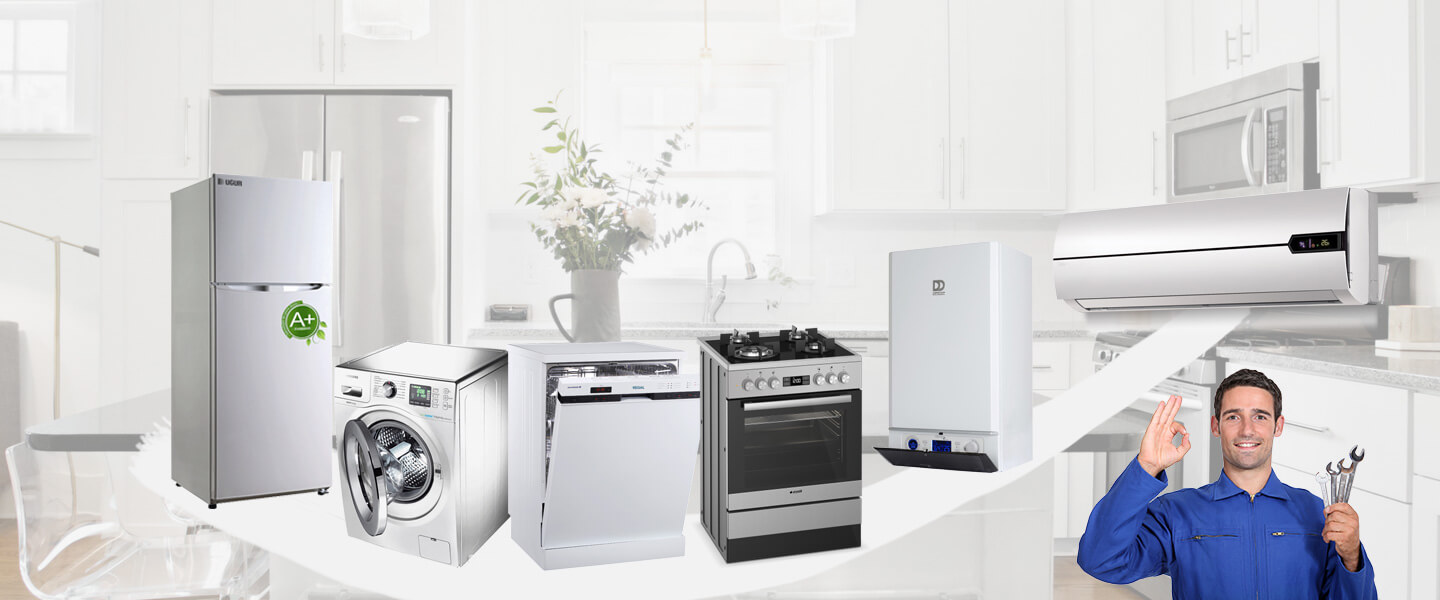 Diyadin Warmhaus Servisi